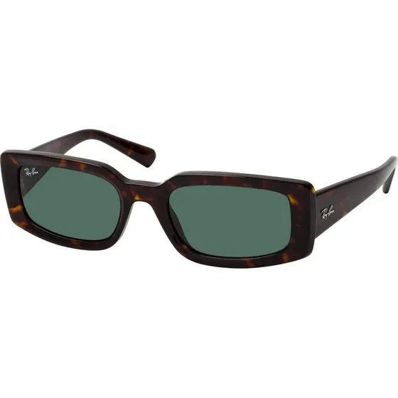 Ray-Ban RB 4395 1359/71 Havana 54