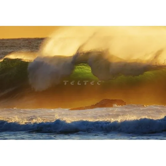 Canon RF 800mm F11 IS STM Supertele-Objektiv