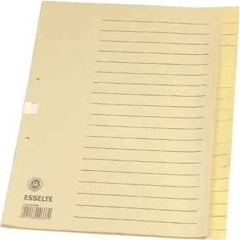 Esselte Register blanko A4 20 Blatt chamois 621006