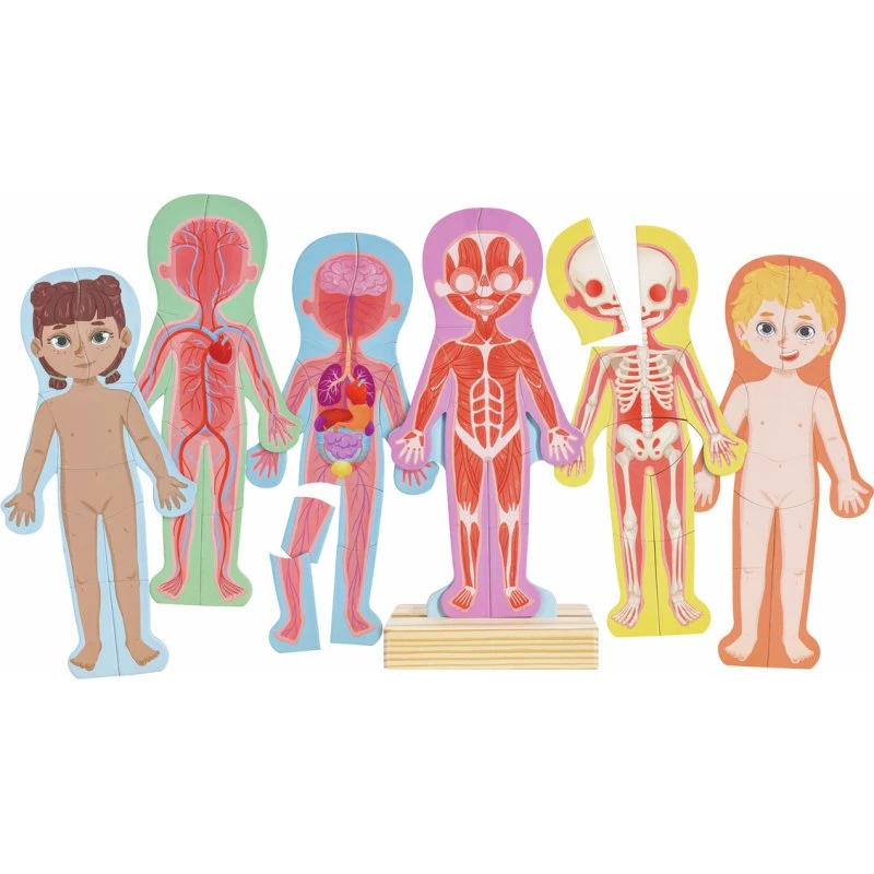 Hape Magnetisches Puzzle Menschlicher Körper