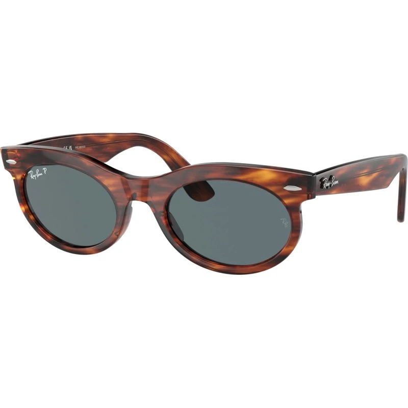 Ray-Ban RB 2242 954/3R Havana/Grau polarisiert