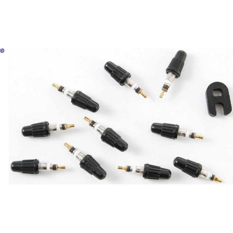 Continental Ventileinsatz für Sclaverandventil