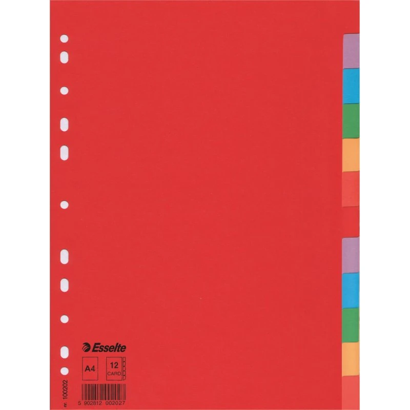 Esselte Ordnerregister Economy A4 12-teilig blanko mehrfarbig