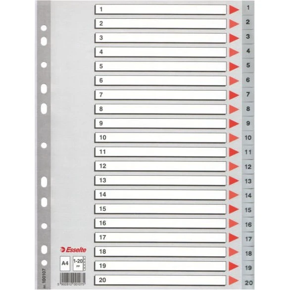 Esselte Register PP A4 1-20 grau