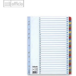 Esselte Mylar-Karton-Register A4 1-10, 10-teilig