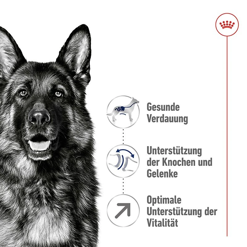 Royal Canin Maxi Adult 5+ 15kg