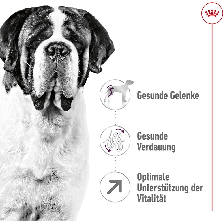 ROYAL CANIN Giant Adult 4 kg für sehr große Hunde ab 18/24 Monaten